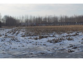 Property photo 44 - FARMLAND AUCTION, 60+/- Acres in 6 Tracts ranging from 4 to 20 acres & in combinations!